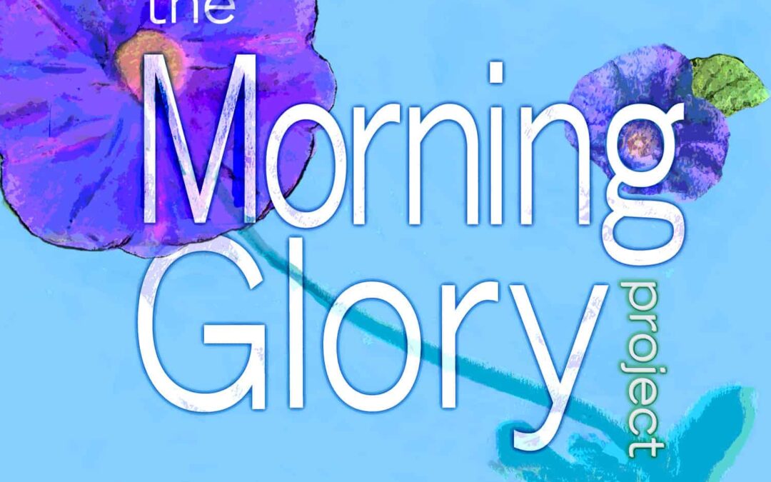 Morning Glory Project