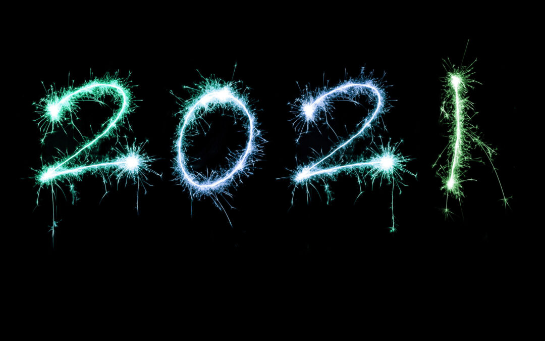 2021 in Review